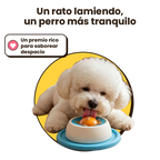Comedero Lamedor para Perros