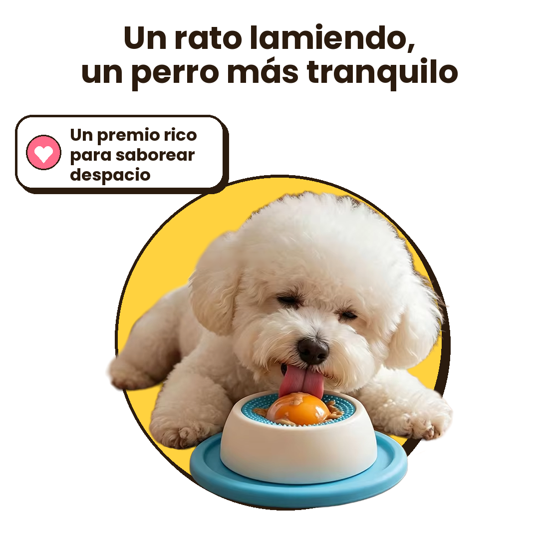 Comedero Lamedor para Perros