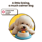 Dog using the Perrifun lick bowl